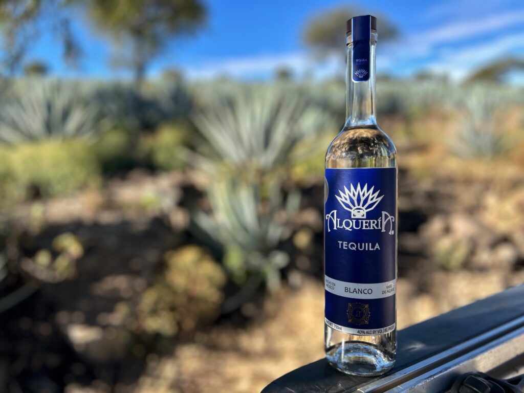 tequila alqueria